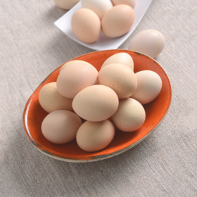 huevo de gallina libre de Jaula