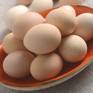 huevo gallina libre de jaula